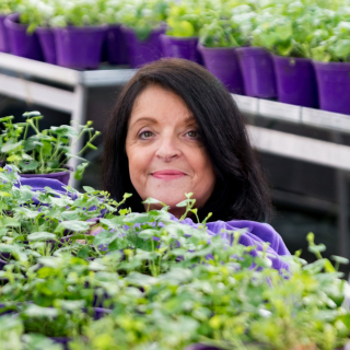 30 ans qu'Hélène a fait de la Violettte de Toulouse son quotidien ! 

Une fleur qu'elle a appris à cultiver dans nos serres, 
une saveur et odeur qu'elle valorise avec l'ensemble de nos artisans,
un symbole de notre ville dont elle est l'une des protectrices et l'une de ses ambassadrices

#lamaisondelaviolette #violettes #violettesdetoulouse #àtoulouse #fleurs #fleurdeviolette #visiteztoulouse #entrepreneuse #entrepreneusetoulousaine #culture #artisanatfrancais #madeinoccitanie #occitanietourisme #fleur #jardin #jardinage